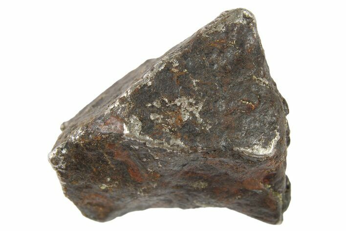 Canyon Diablo Iron Meteorite ( g) - Arizona #262882